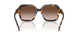 207213 - Tortoise - Brown Gradient