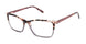 Ted Baker TFW020 Eyeglasses