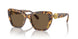 104073 - Tortoise - Dark Brown