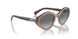 294011 - Brown - Gradient Dark Grey