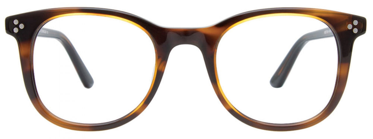 10 - Brown & Tortoise