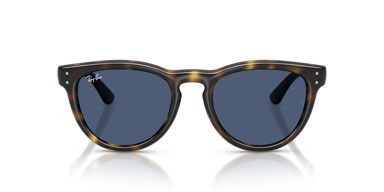 710/80 - Tortoise - Blue