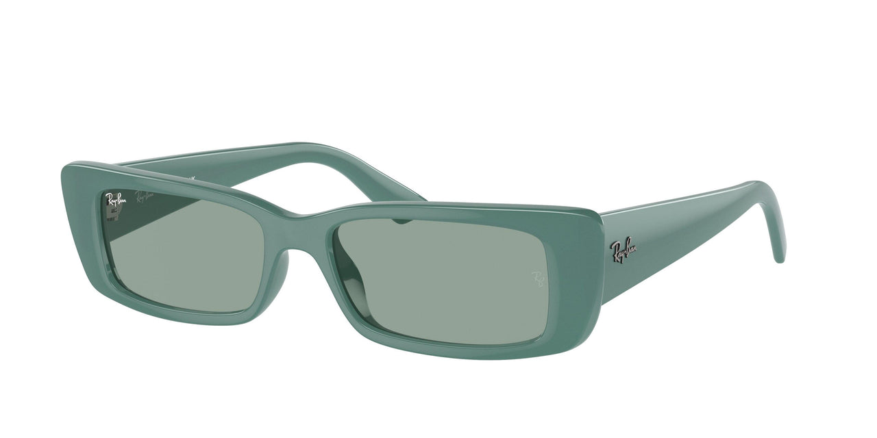 Ray-Ban Teru 4425F Sunglasses