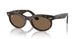 902/GI - Tortoise - Clear/brown