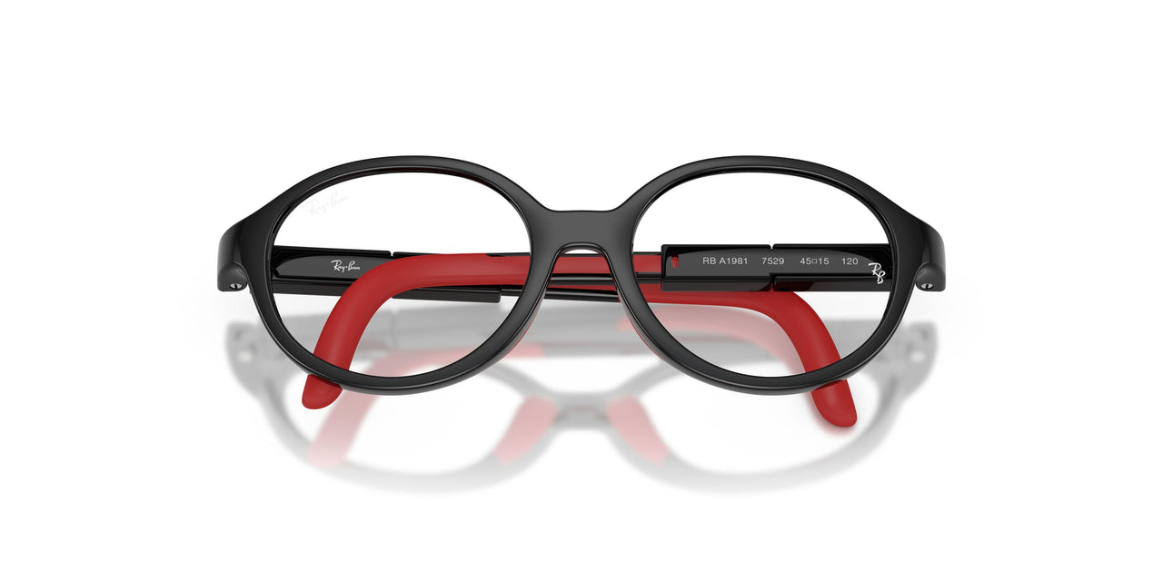 7529 - Black - Clear