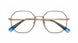 BZBK - Bronze Black