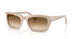119551 - Brown - Clear Gradient Brown