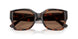 624173 - Tortoise - Brown