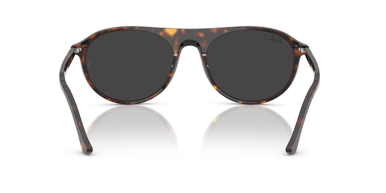 902/48 - Tortoise - Polar Black