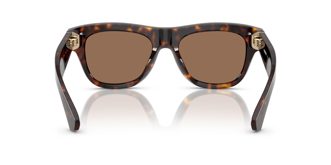 300273 - Brown - Dark Brown