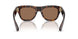 300273 - Brown - Dark Brown