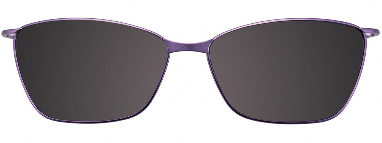 80 - Shiny Lavender & Purple