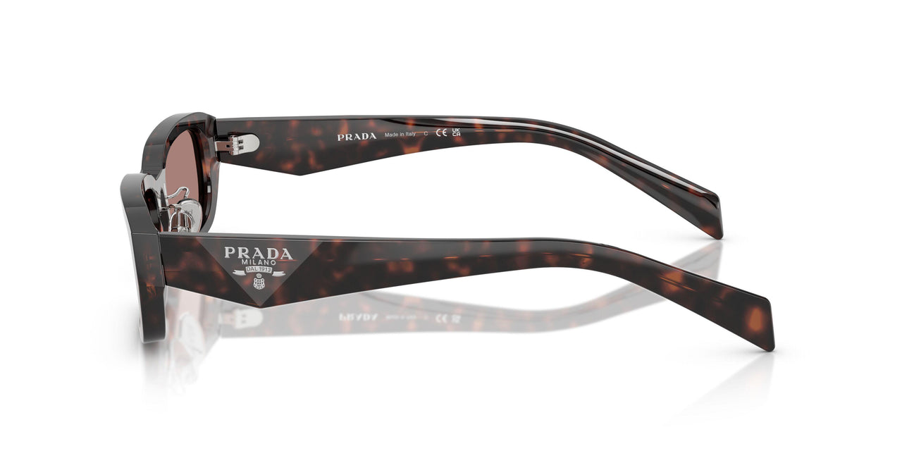 17N60B - Tortoise - Light Brown