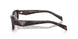 17N60B - Tortoise - Light Brown