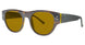Randy Jackson RJS928P Sunglasses