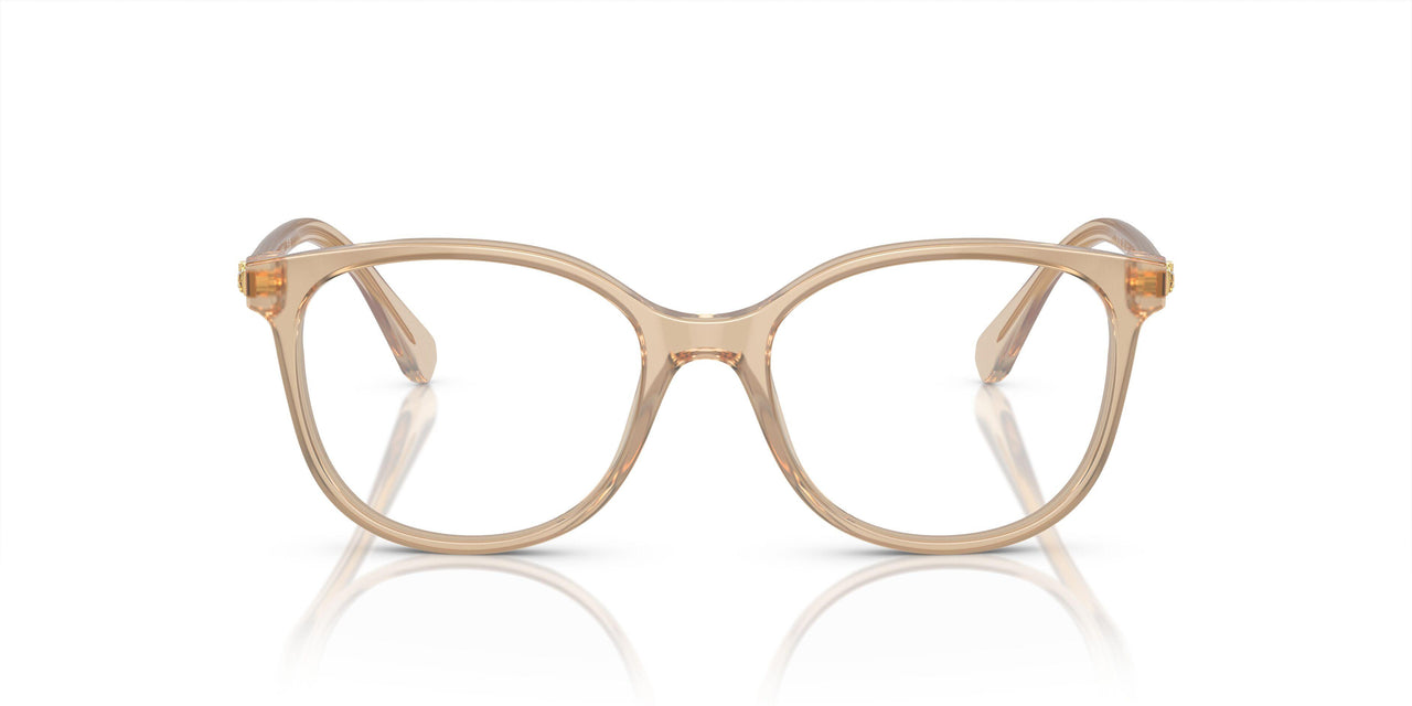 1034 - Brown