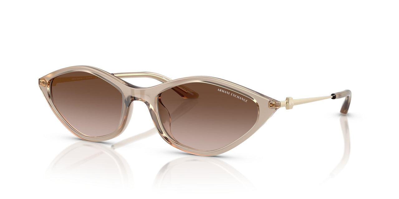 836613 - Brown - Gradient Brown