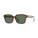 55N - Shiny Coloured Havana - Green