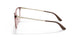 2907 - Brown