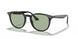 601/2 - Black - Light Green