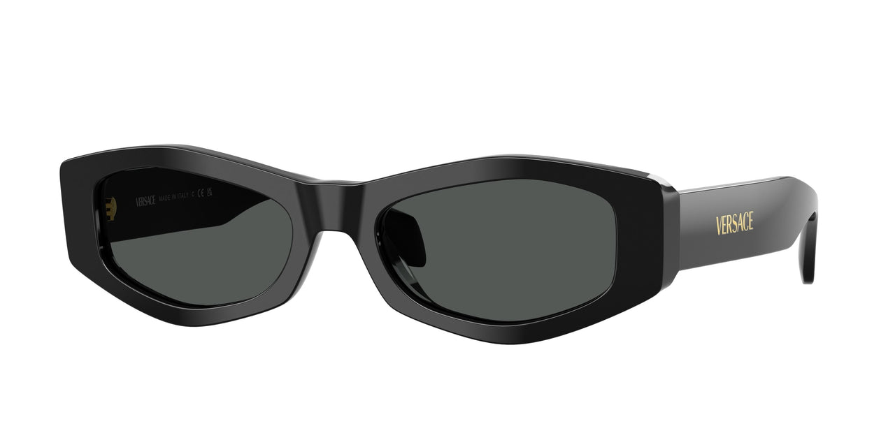 Versace 4487 Sunglasses