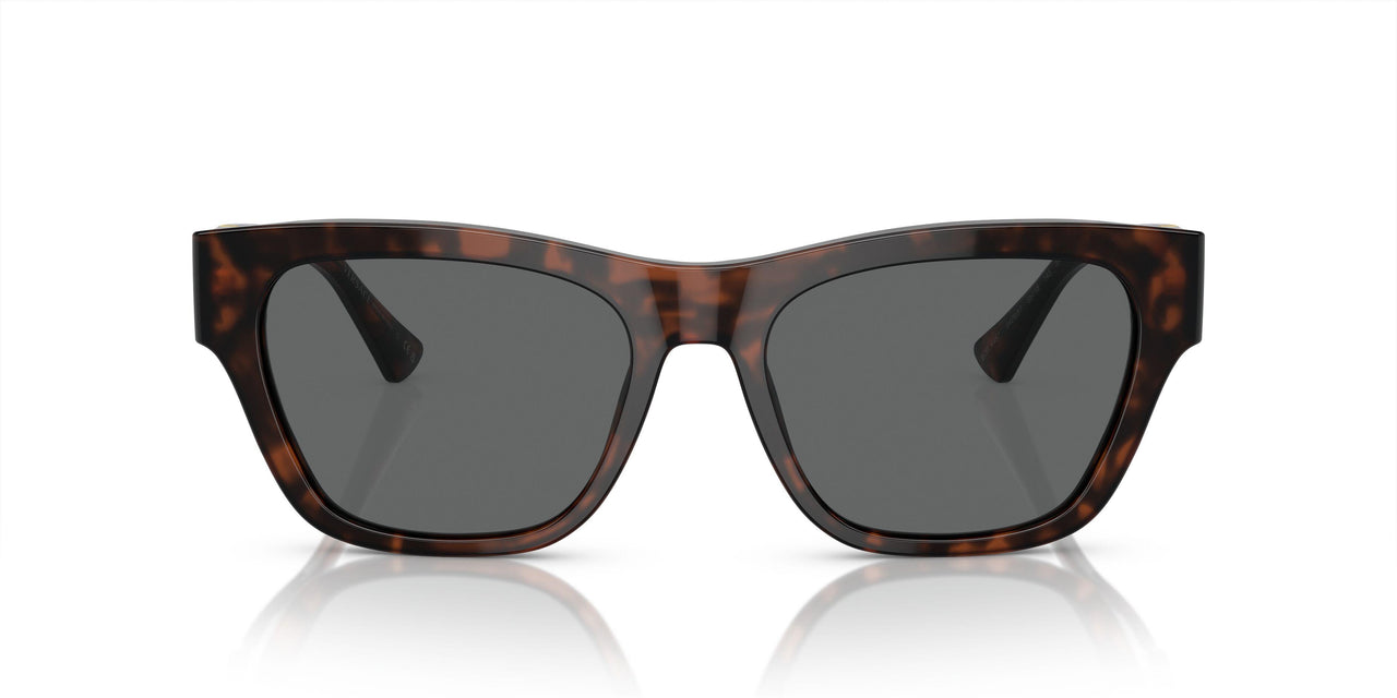 542987 - Tortoise - Dark Grey
