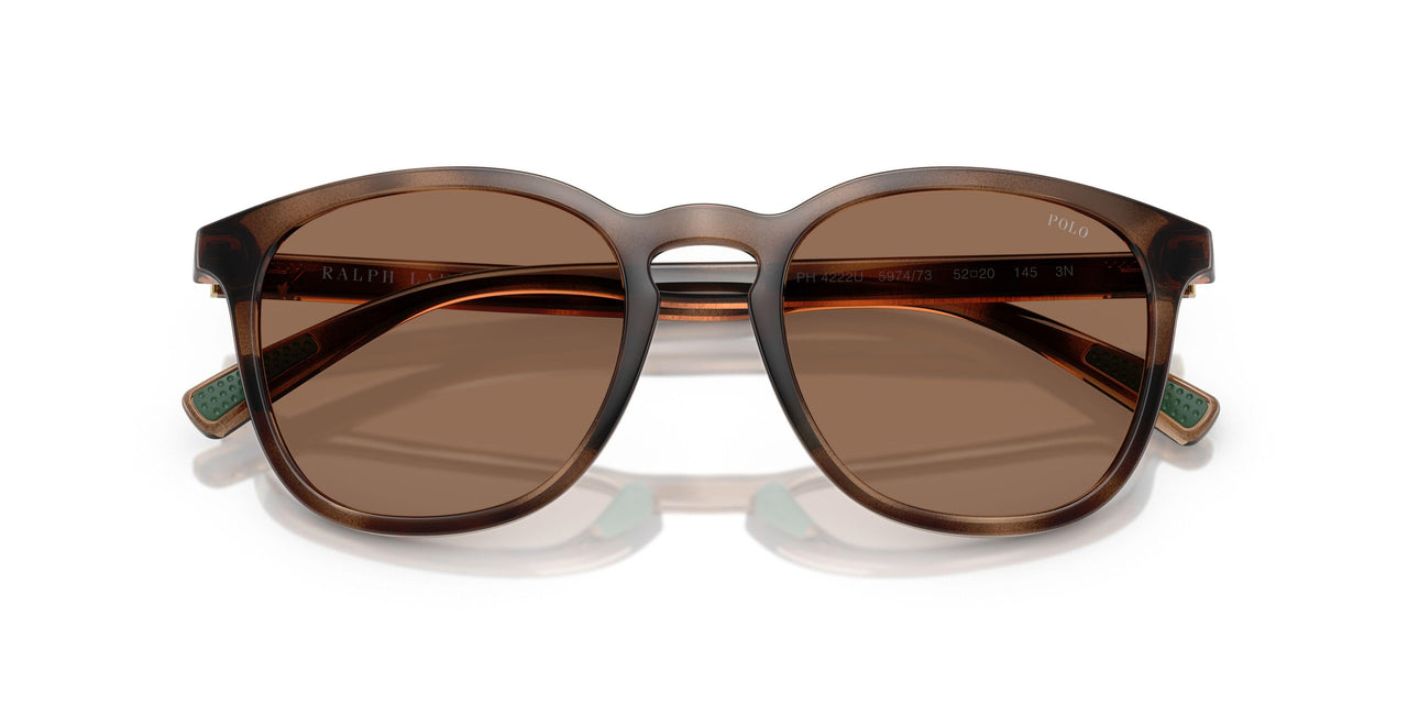597473 - Tortoise - Dark Brown