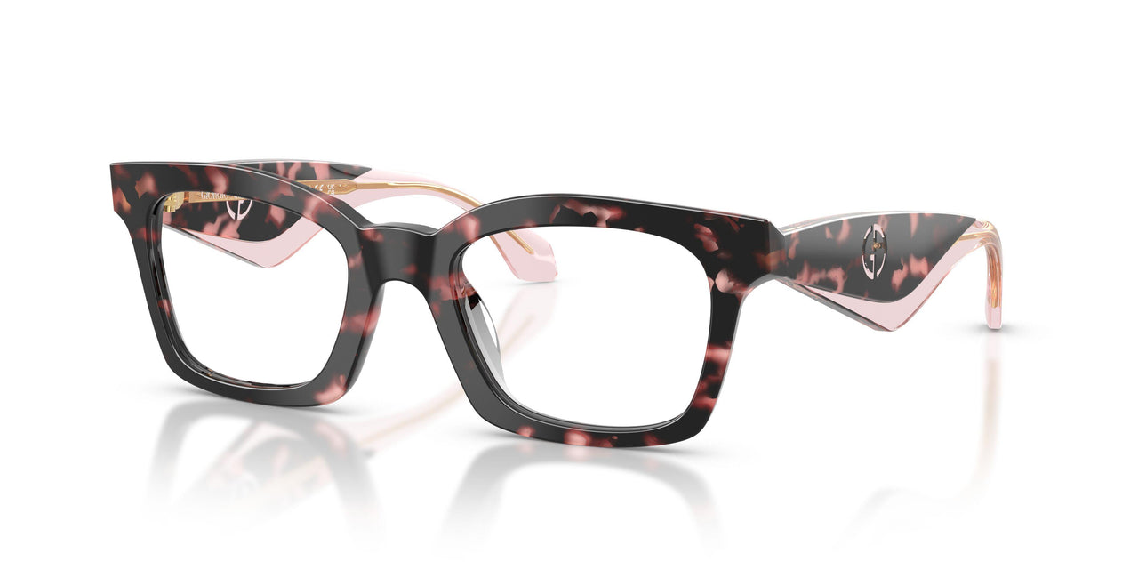 6230 - Tortoise