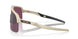 946352 - Beige - Prizm Road Black