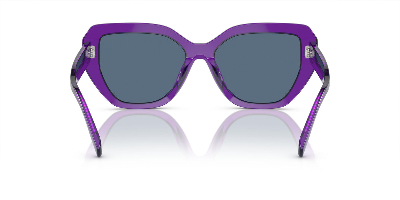 193580 - Violet - Dark Blue