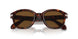 24/57 - Tortoise - Polarized Brown