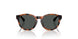 597487 - Tortoise - Dark Grey