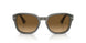 1103M2 - Grey - Brown Gradient Polar
