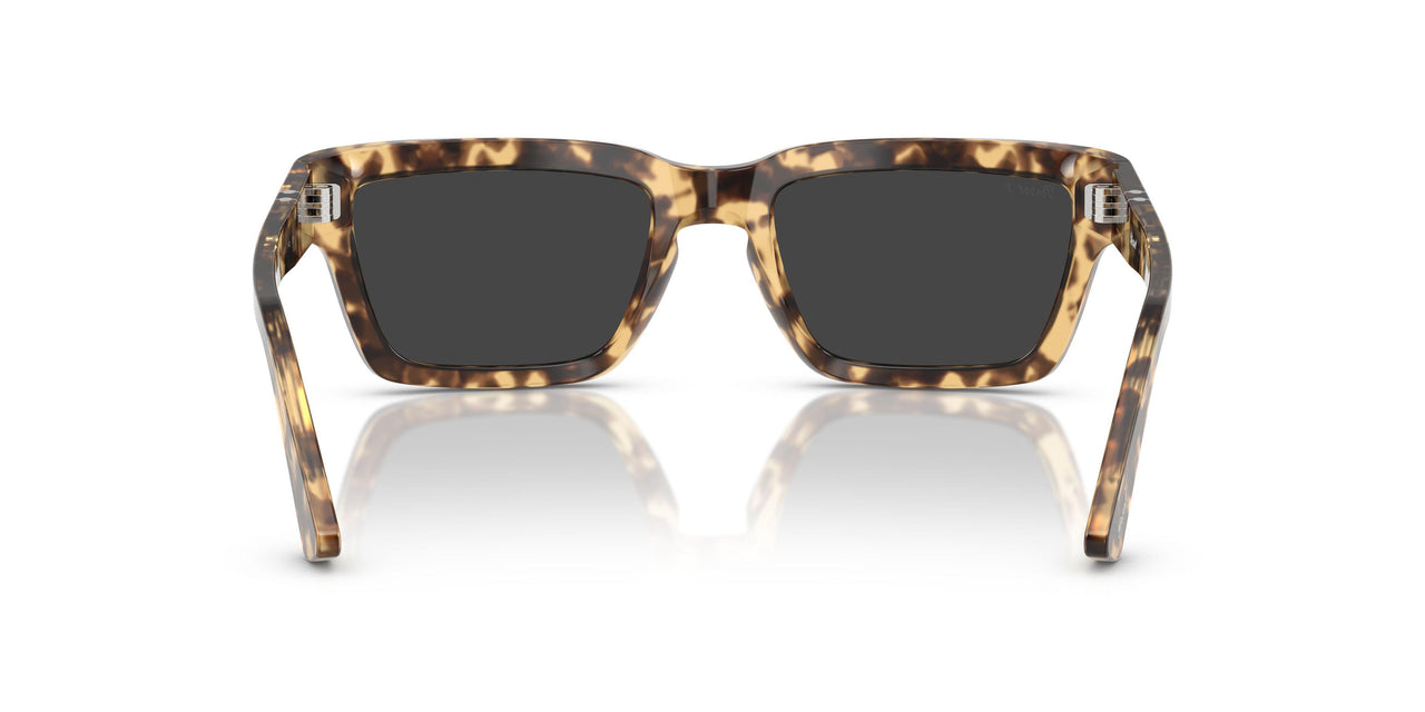 105648 - Tortoise - Polar Black