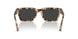 105648 - Tortoise - Polar Black