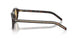 17N70R - Tortoise - Light Brown
