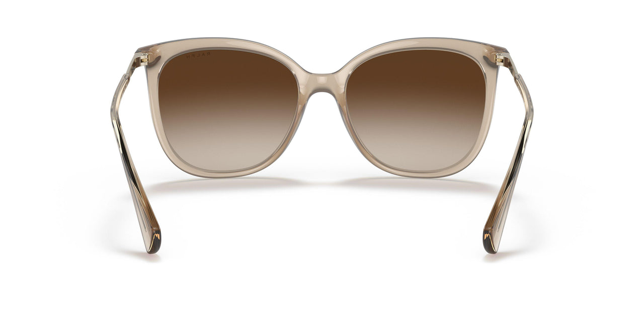 580213 - Brown - Gradient Brown