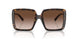 80153B - Tortoise - Brown Gradient