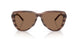 203673 - Brown - Dark Brown