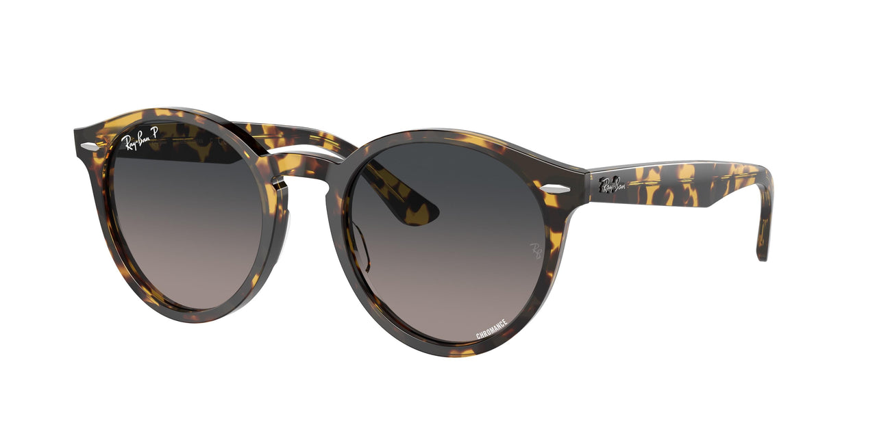 Ray-Ban Larry 7680S Sunglasses