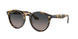Ray-Ban Larry 7680S Sunglasses