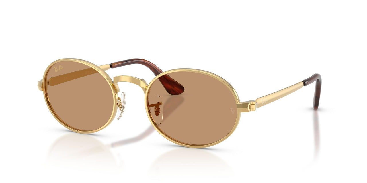 Ray-Ban 3931 Sunglasses
