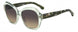 Kate Spade LOTTIE Sunglasses