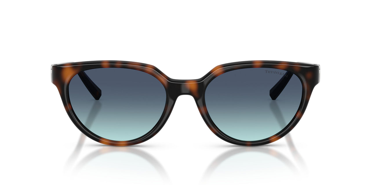 80159S - Tortoise - Azure Gradient Blue