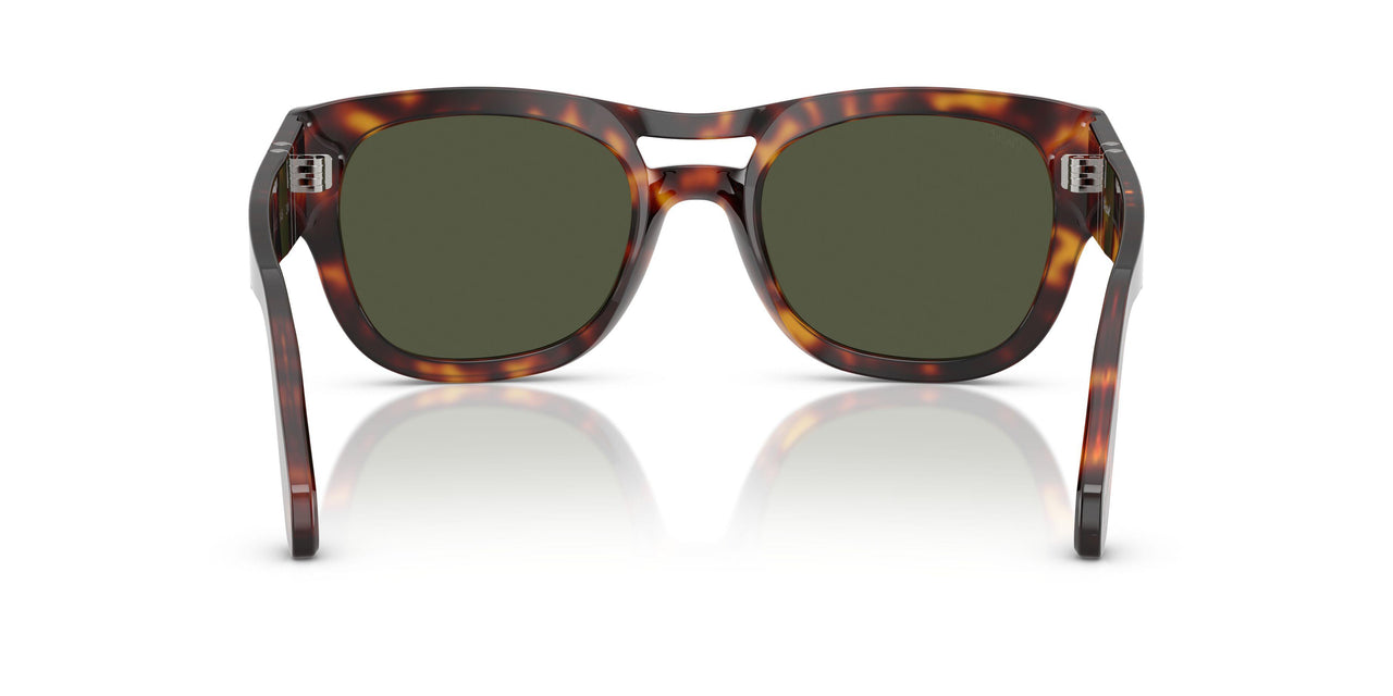 24/31 - Tortoise - Green