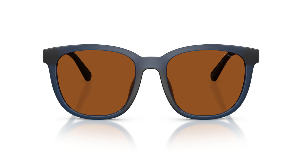591273 - Blue - Amber Solid
