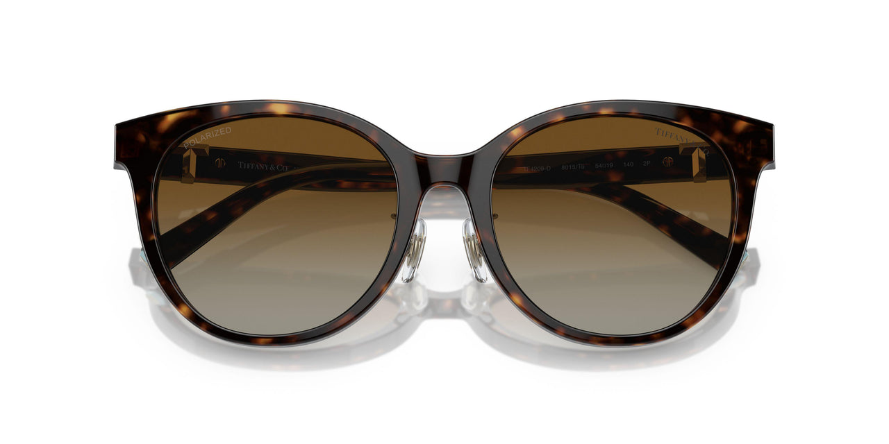 8015T5 - Tortoise - Polar Brown Gradient