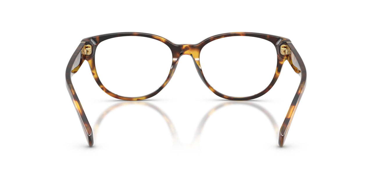 5134 - Tortoise