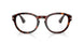 24/GG - Havana - Transitions 8 Sapphire