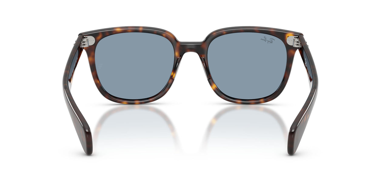 902/56 - Tortoise - Blue